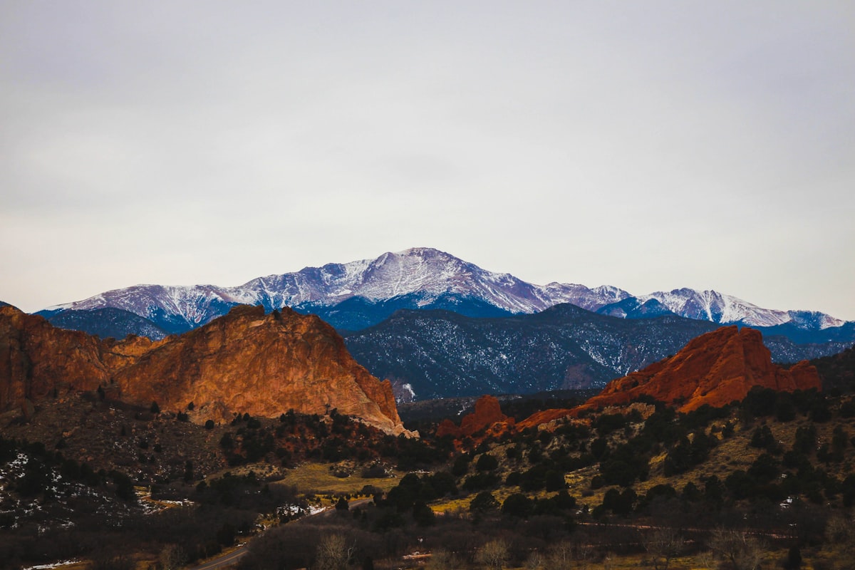 Buena Vista